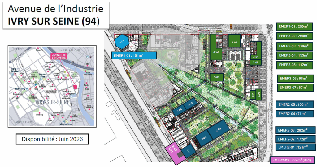 plan de merchandising